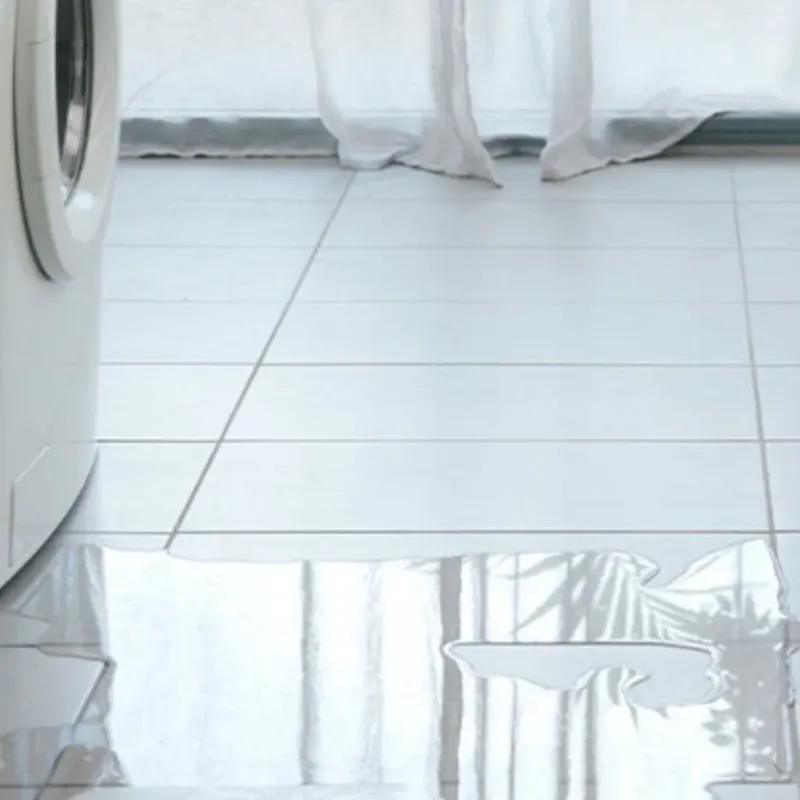 Appliance Leak Cleanup in Craighead County, AR
